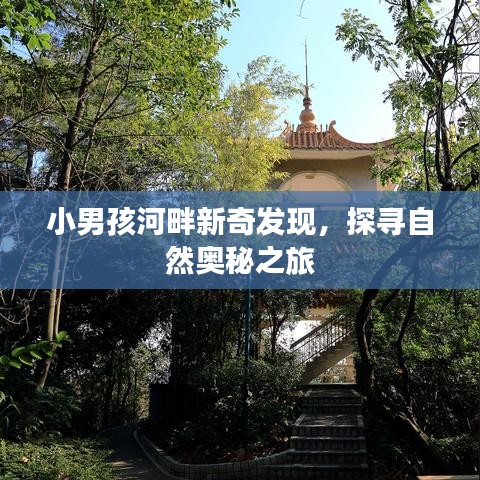 小男孩河畔新奇發(fā)現(xiàn)，探尋自然奧秘之旅