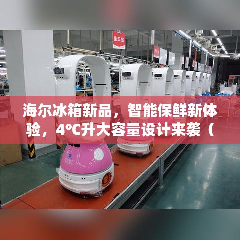 海爾冰箱新品，智能保鮮新體驗(yàn)，4℃升大容量設(shè)計(jì)來襲（2024年新款）