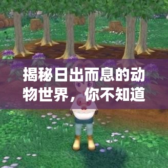 揭秘日出而息的動物世界，你不知道的神奇現(xiàn)象！