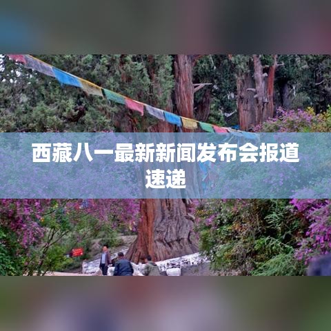西藏八一最新新聞發(fā)布會報道速遞