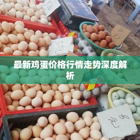 最新雞蛋價格行情走勢深度解析