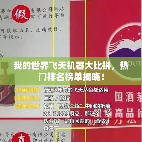 我的世界飛天機(jī)器大比拼，熱門排名榜單揭曉！