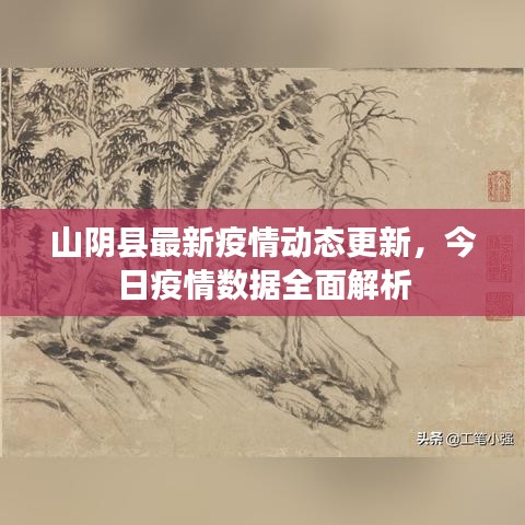 山陰縣最新疫情動(dòng)態(tài)更新，今日疫情數(shù)據(jù)全面解析