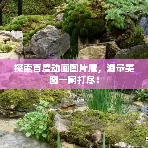 探索百度動(dòng)畫圖片庫，海量美圖一網(wǎng)打盡！