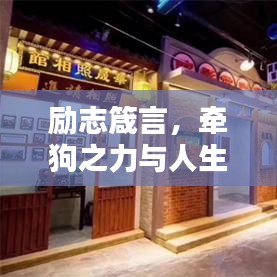 勵(lì)志箴言，牽狗之力與人生步伐同行