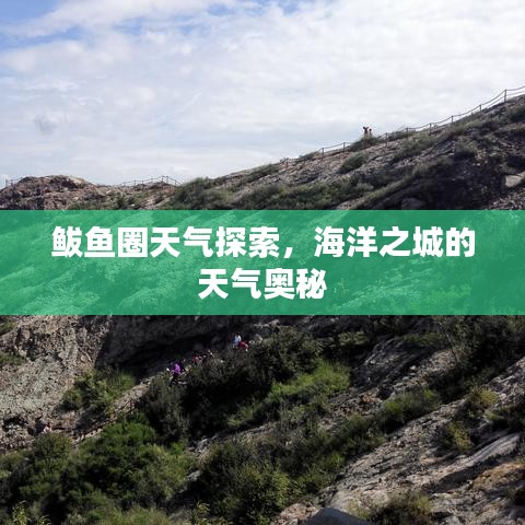 鲅魚圈天氣探索，海洋之城的天氣奧秘
