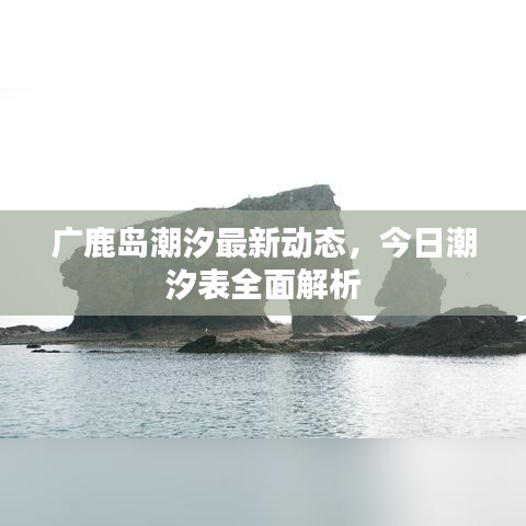 廣鹿島潮汐最新動態(tài)，今日潮汐表全面解析