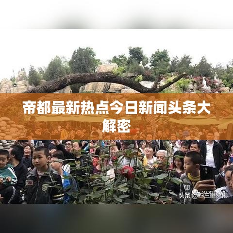 帝都最新熱點今日新聞頭條大解密