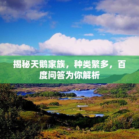 揭秘天鵝家族，種類繁多，百度問答為你解析