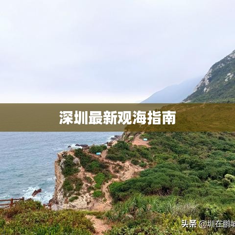 深圳最新觀海指南
