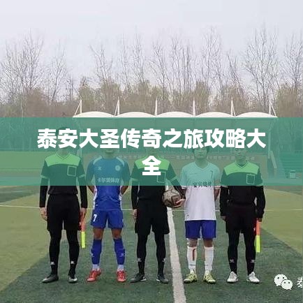 泰安大圣傳奇之旅攻略大全