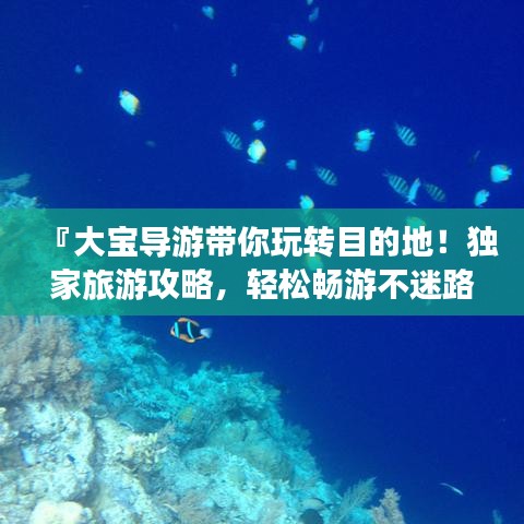 『大寶導游帶你玩轉目的地！獨家旅游攻略，輕松暢游不迷路』