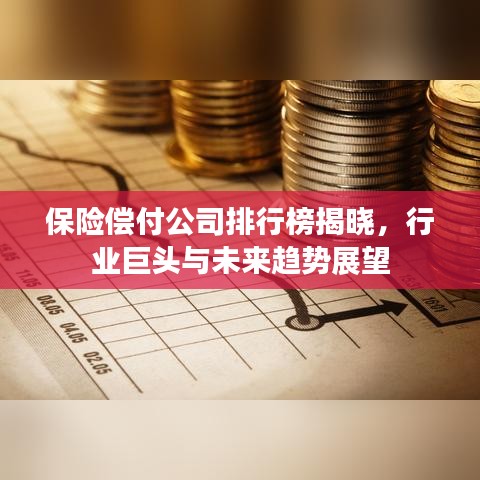 保險(xiǎn)償付公司排行榜揭曉，行業(yè)巨頭與未來趨勢展望