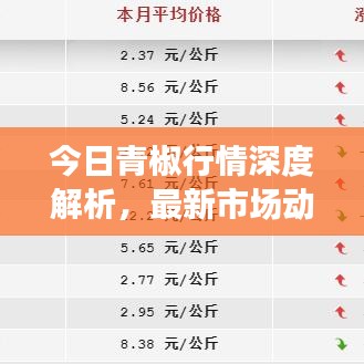 今日青椒行情深度解析，最新市場動態(tài)一網(wǎng)打盡！
