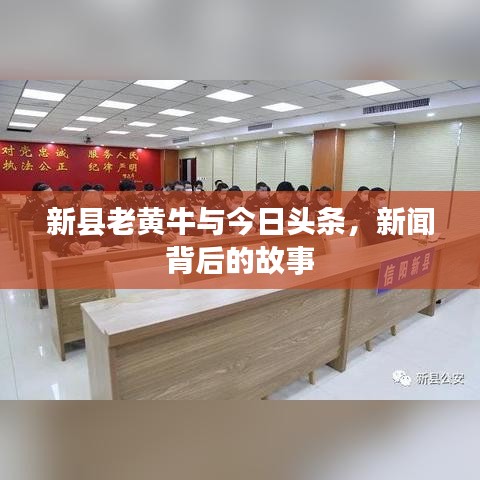 新縣老黃牛與今日頭條，新聞背后的故事