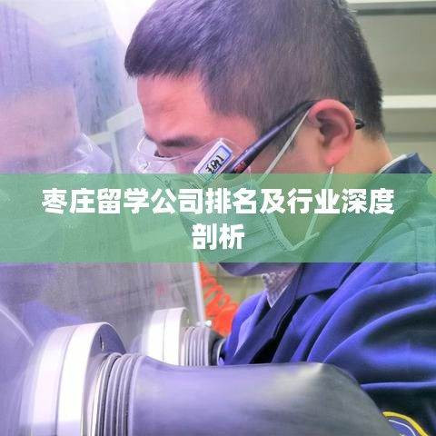 棗莊留學(xué)公司排名及行業(yè)深度剖析