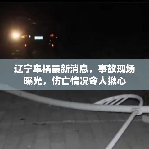 遼寧車禍最新消息，事故現(xiàn)場曝光，傷亡情況令人揪心