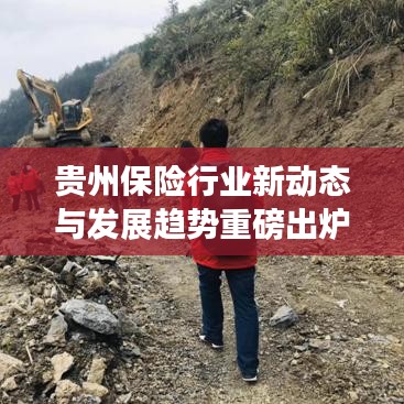貴州保險行業(yè)新動態(tài)與發(fā)展趨勢重磅出爐！行業(yè)新聞頭條搶先看