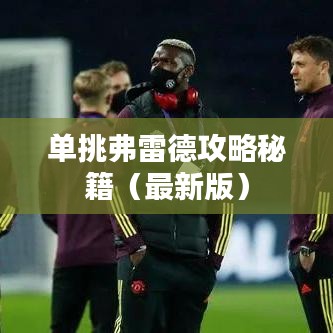 單挑弗雷德攻略秘籍（最新版）