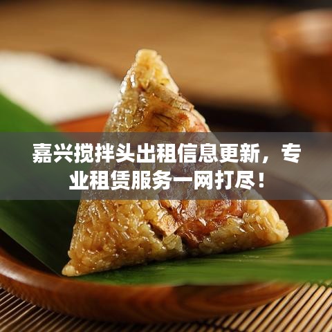 嘉興攪拌頭出租信息更新，專業(yè)租賃服務一網(wǎng)打盡！