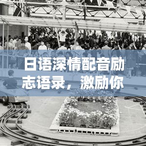 日語(yǔ)深情配音勵(lì)志語(yǔ)錄，激勵(lì)你前行的力量之源！