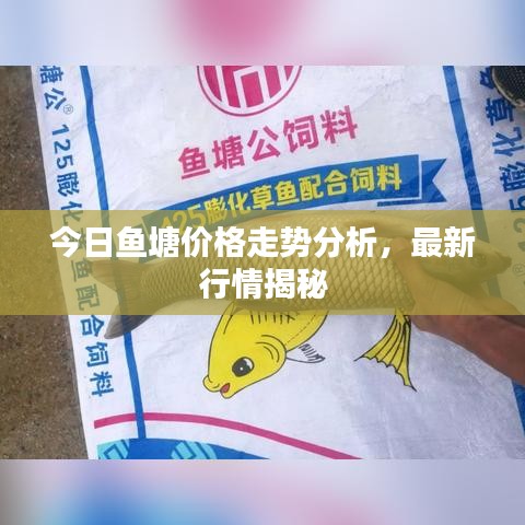 今日魚塘價(jià)格走勢(shì)分析，最新行情揭秘