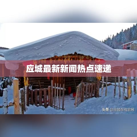 應(yīng)城最新新聞熱點(diǎn)速遞