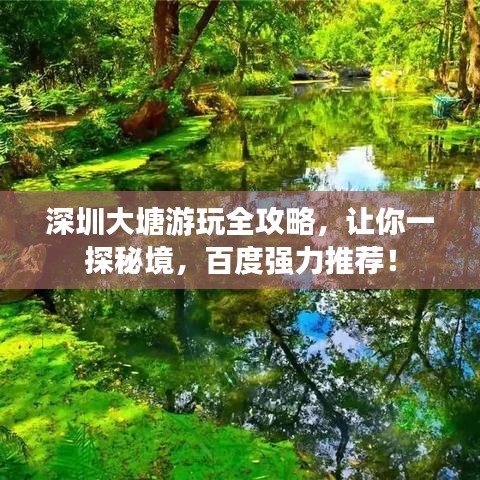 深圳大塘游玩全攻略，讓你一探秘境，百度強(qiáng)力推薦！
