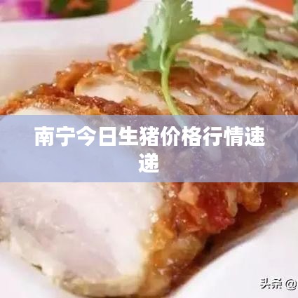 南寧今日生豬價格行情速遞