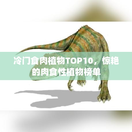 冷門食肉植物TOP10，驚艷的肉食性植物榜單