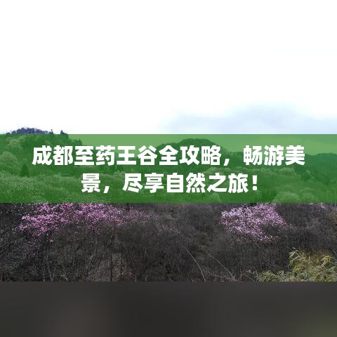 成都至藥王谷全攻略，暢游美景，盡享自然之旅！