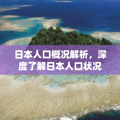 日本人口概況解析，深度了解日本人口狀況