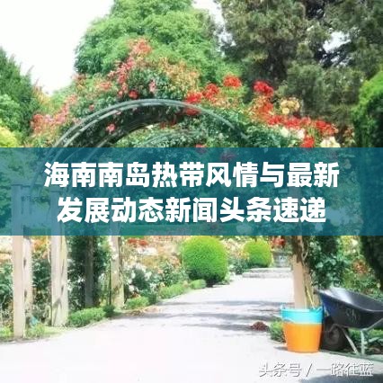 海南南島熱帶風(fēng)情與最新發(fā)展動(dòng)態(tài)新聞?lì)^條速遞