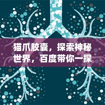 貓爪膠囊，探索神秘世界，百度帶你一探究竟！