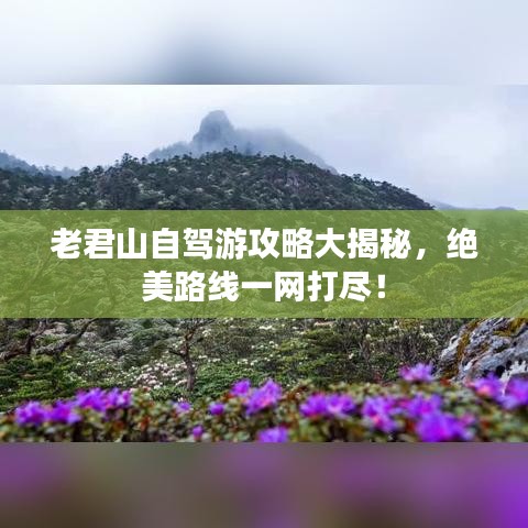 老君山自駕游攻略大揭秘，絕美路線一網(wǎng)打盡！