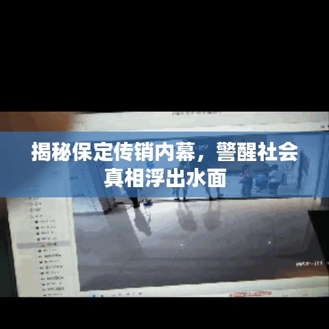 揭秘保定傳銷內(nèi)幕，警醒社會(huì)真相浮出水面