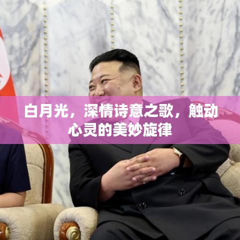 白月光，深情詩意之歌，觸動心靈的美妙旋律