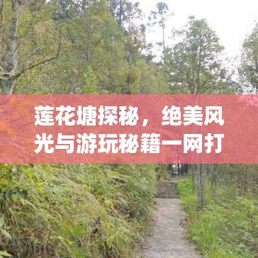 蓮花塘探秘，絕美風(fēng)光與游玩秘籍一網(wǎng)打盡！