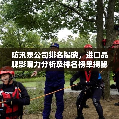 防汛泵公司排名揭曉，進(jìn)口品牌影響力分析及排名榜單揭秘