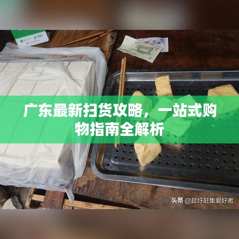 廣東最新掃貨攻略，一站式購物指南全解析