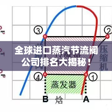 全球進(jìn)口蒸汽節(jié)流閥公司排名大揭秘！