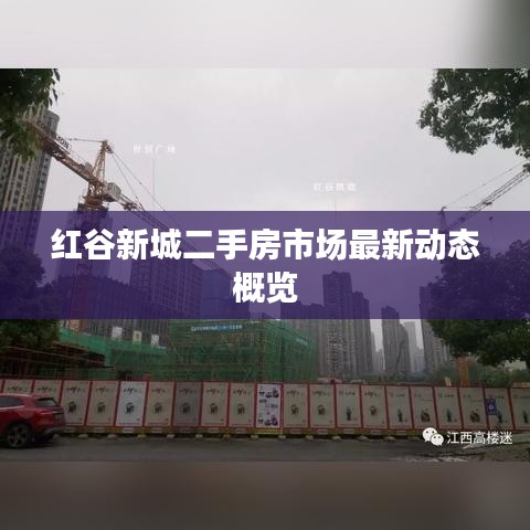 紅谷新城二手房市場(chǎng)最新動(dòng)態(tài)概覽