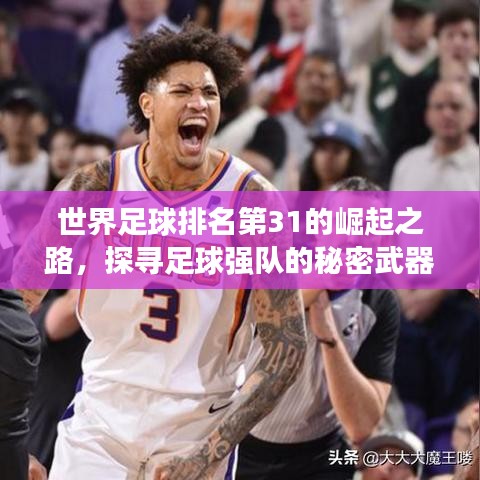 世界足球排名第31的崛起之路，探尋足球強(qiáng)隊(duì)的秘密武器