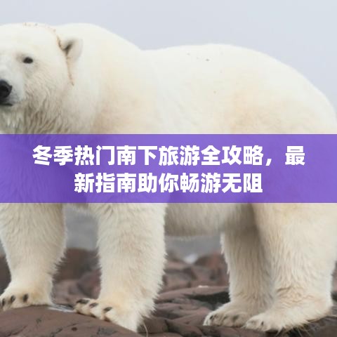 冬季熱門南下旅游全攻略，最新指南助你暢游無阻