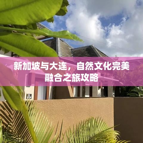 新加坡與大連，自然文化完美融合之旅攻略