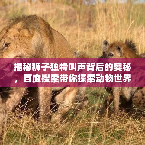 揭秘獅子獨(dú)特叫聲背后的奧秘，百度搜索帶你探索動(dòng)物世界！