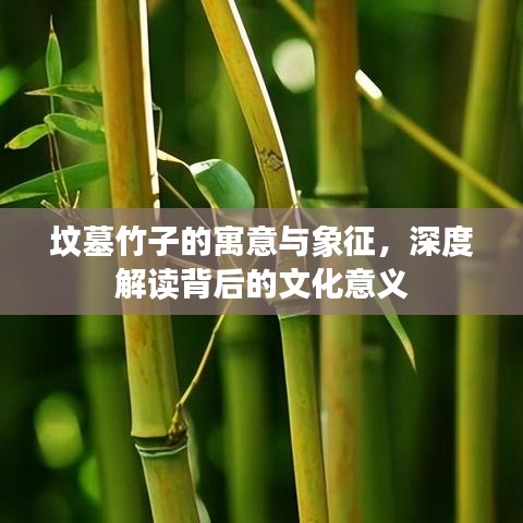 墳?zāi)怪褡拥脑⒁馀c象征，深度解讀背后的文化意義