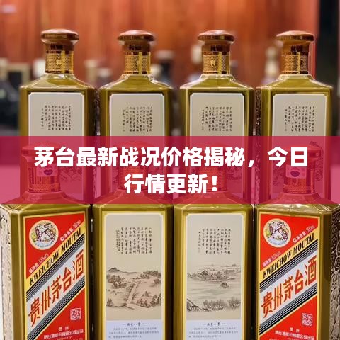 茅臺最新戰(zhàn)況價格揭秘，今日行情更新！