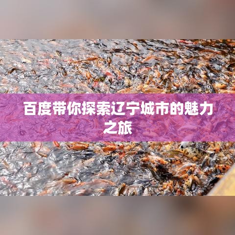百度帶你探索遼寧城市的魅力之旅