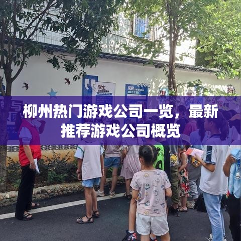柳州熱門游戲公司一覽，最新推薦游戲公司概覽